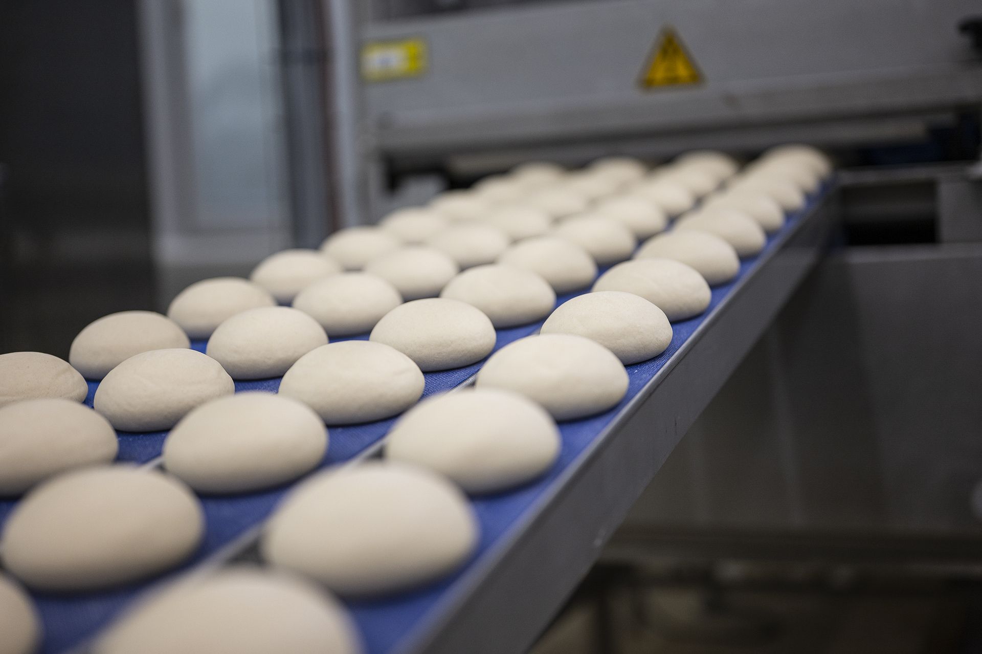 Round white objects on a conveyor belt in a food factory.